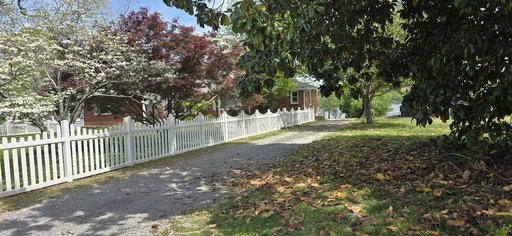Media Image 2