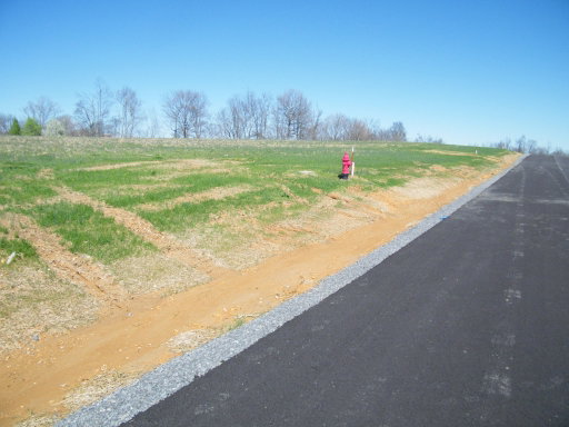 Media Image 3