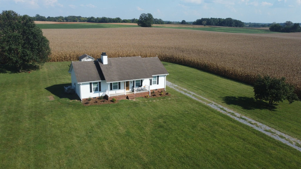 Media Image 1