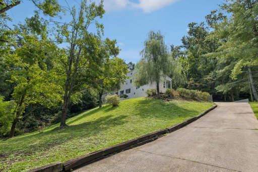 Media Image 2