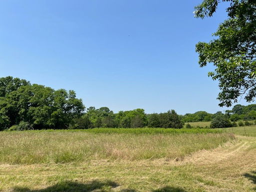 Media Image 2