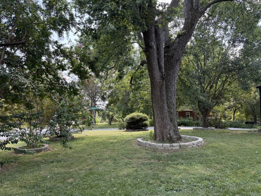 Media Image 3