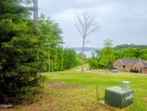 Media Image 3