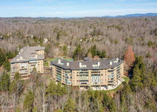 Media Image 3