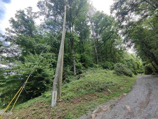 Media Image 2