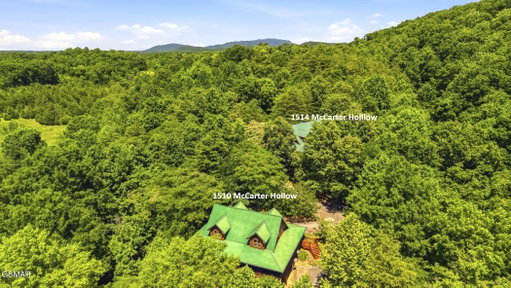 Media Image 2