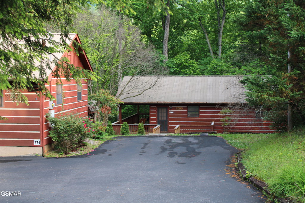 Media Image 1