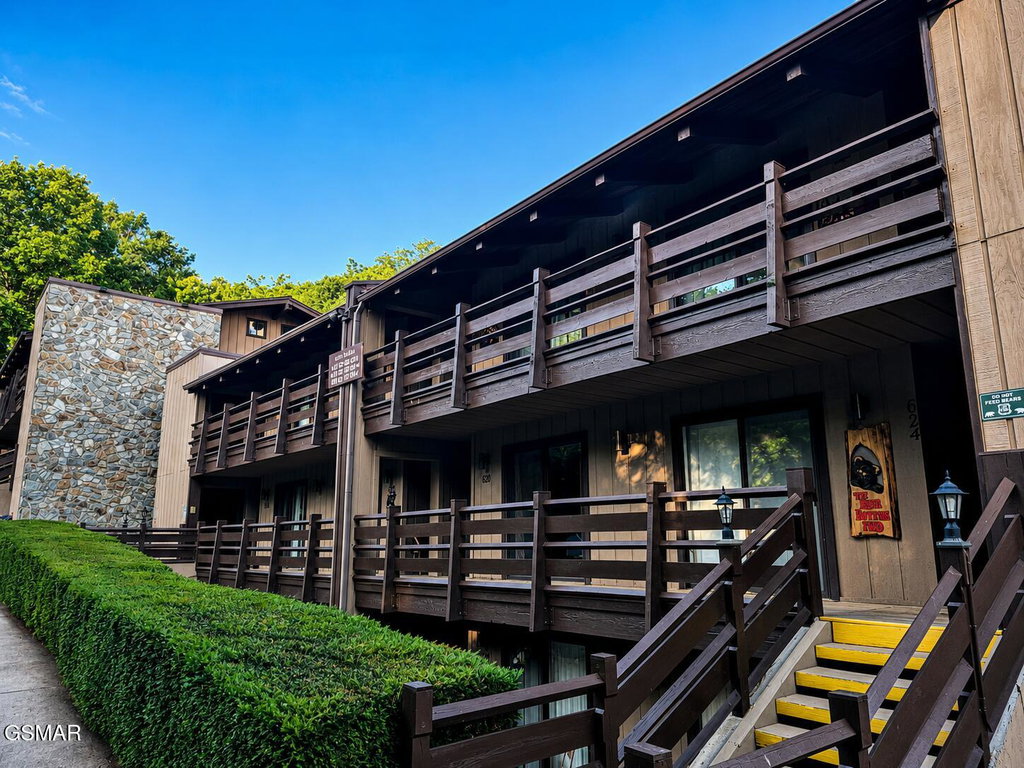 Media Image 1