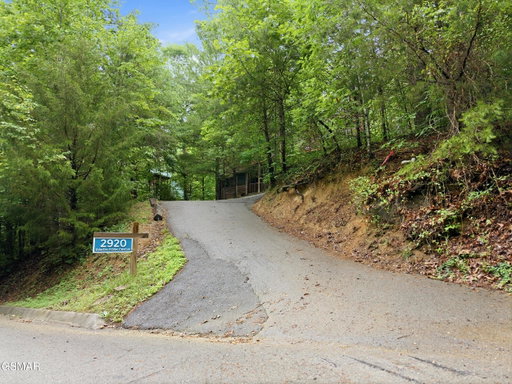 Media Image 3