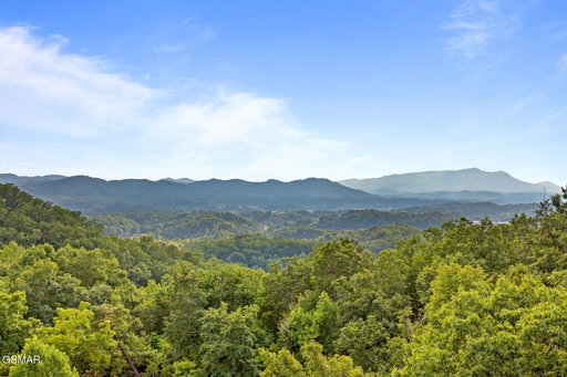 Media Image 2