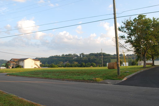 Media Image 2