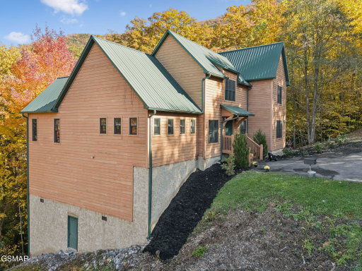 Media Image 3