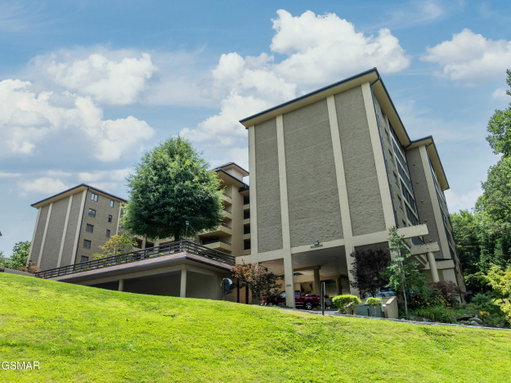 Media Image 3