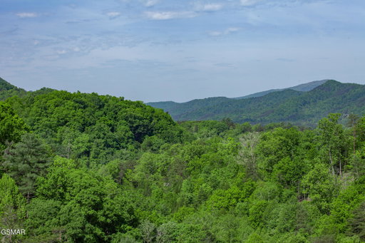 Media Image 2