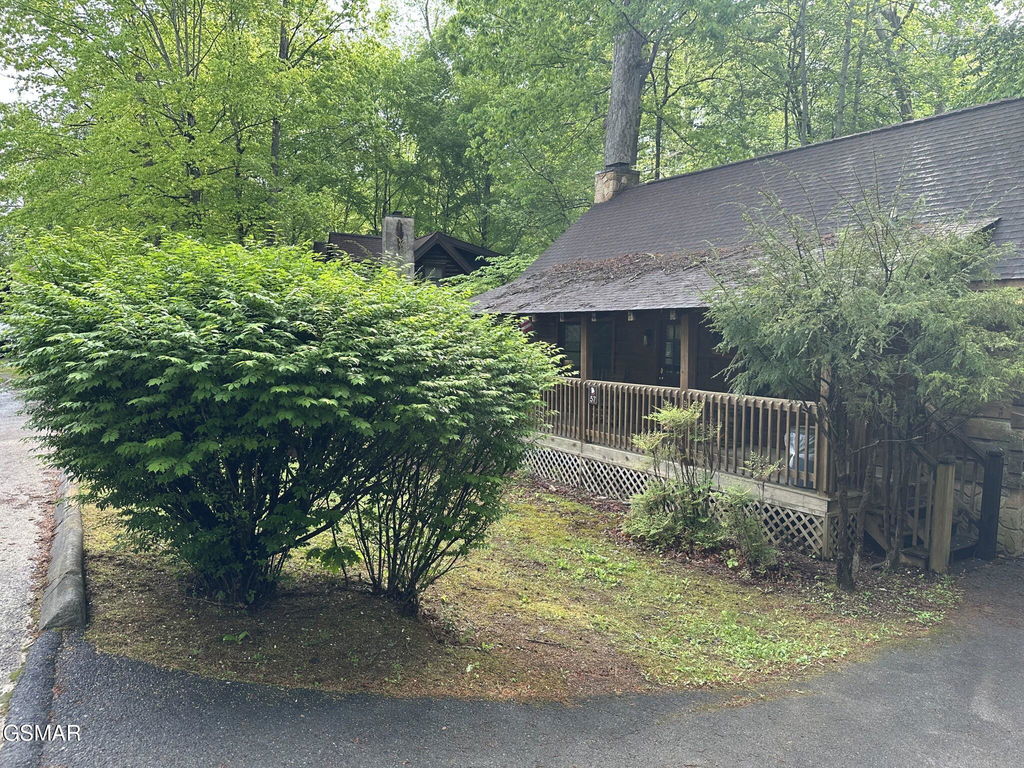 Image Unavailable