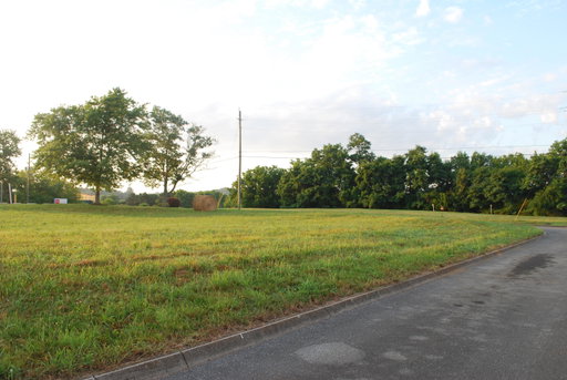 Media Image 3