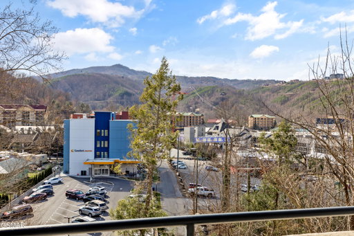 Media Image 2