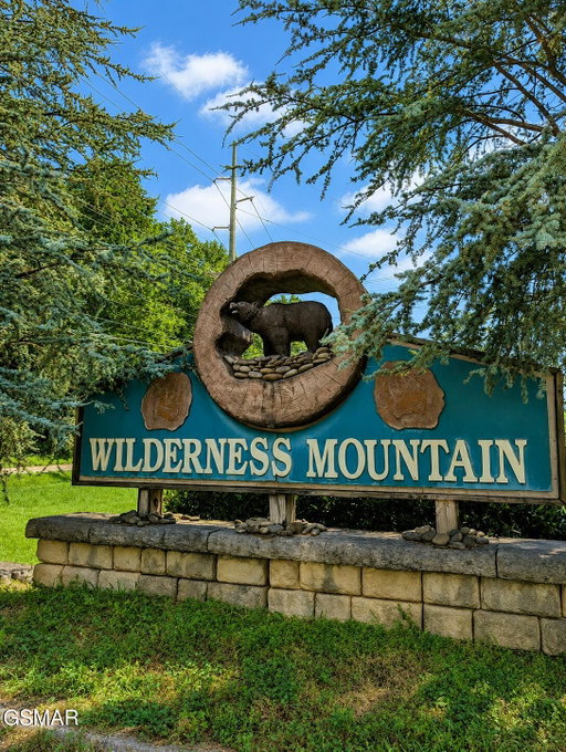 Media Image 2
