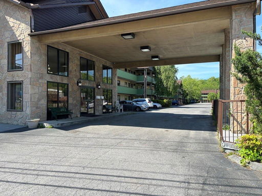 Media Image 3