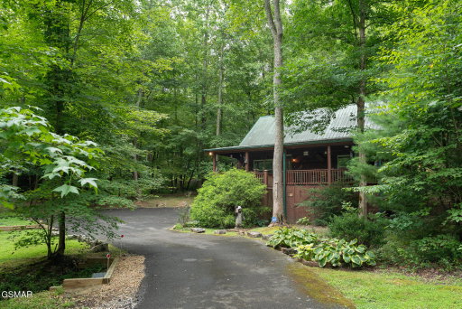 Media Image 3