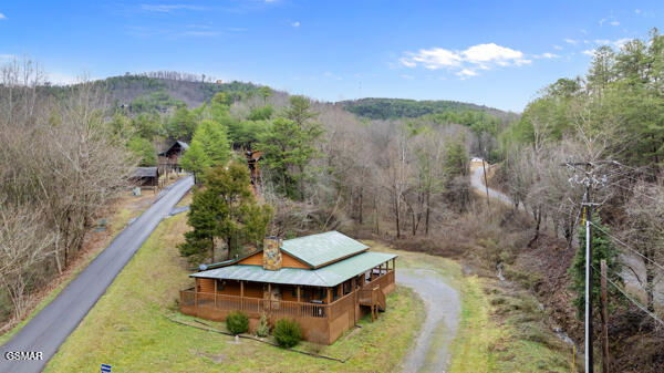 Media Image 1