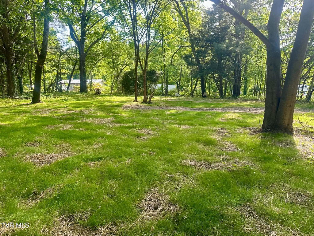 Image Unavailable