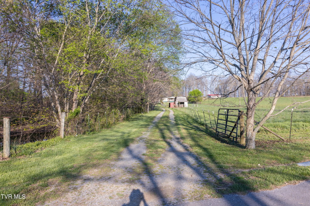 Media Image 1