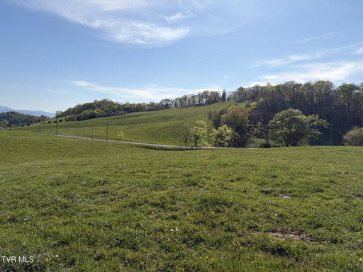 Media Image 3