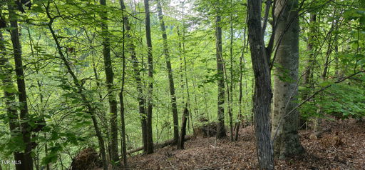 Media Image 3