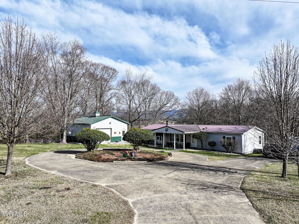 Media Image 1