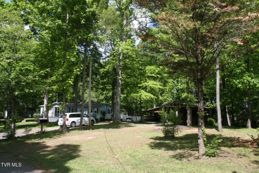 Media Image 2