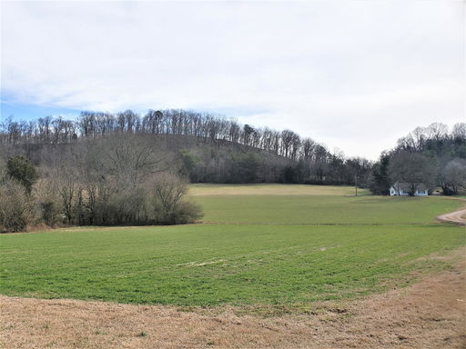 Media Image 2