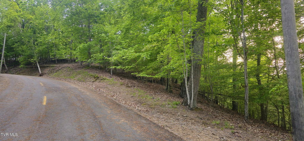 Media Image 1
