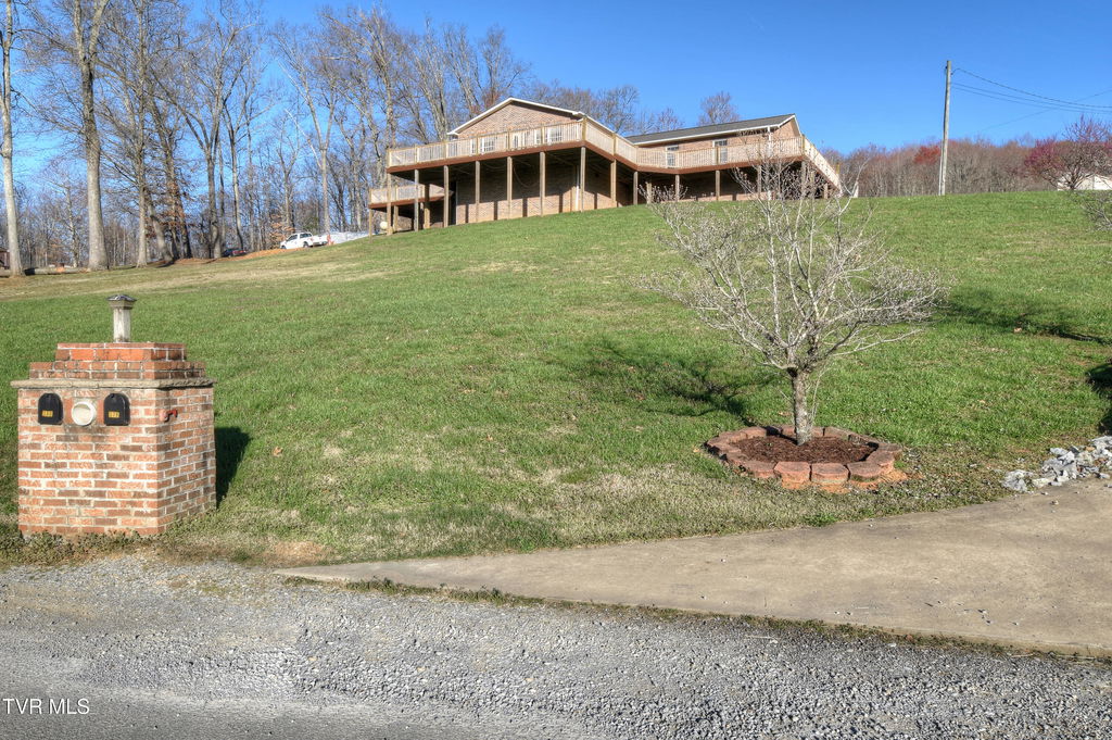 Media Image 1