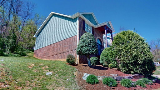 Media Image 3