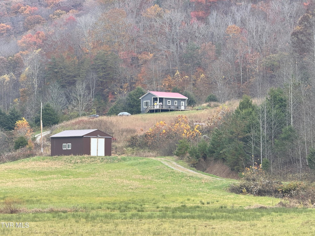 Media Image 1