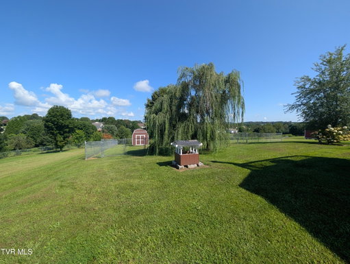 Media Image 3