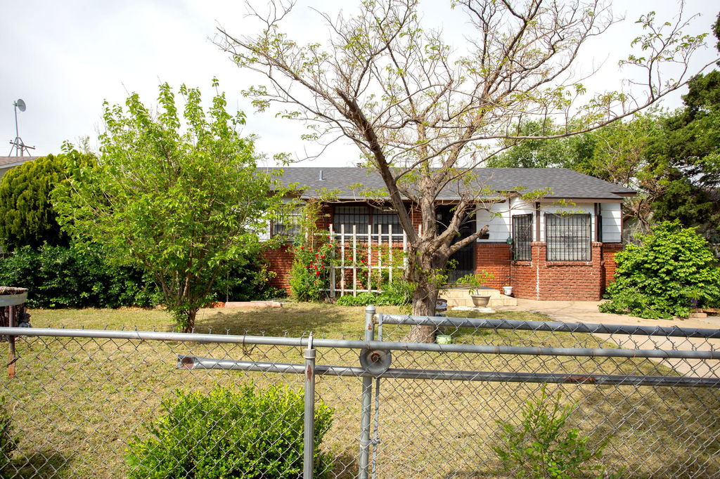 Media Image 1
