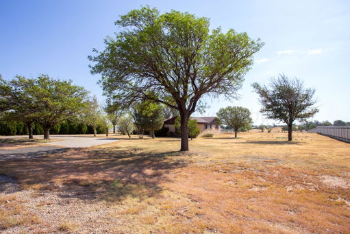 Media Image 3