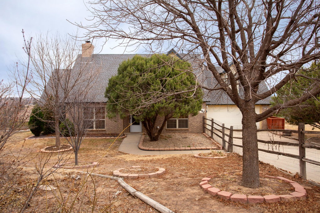 Media Image 1