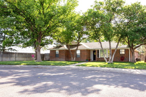 Media Image 2