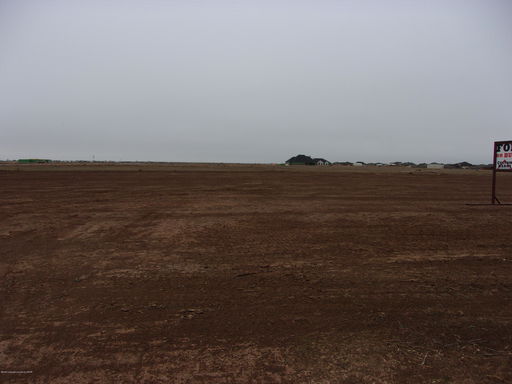 Media Image 3
