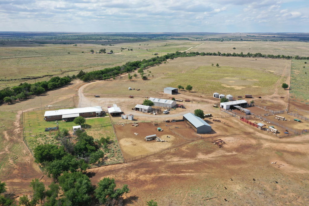 Media Image 1