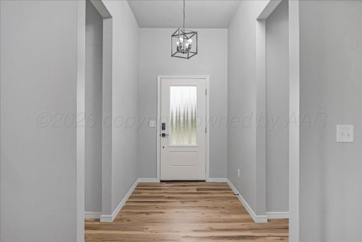 Media Image 3