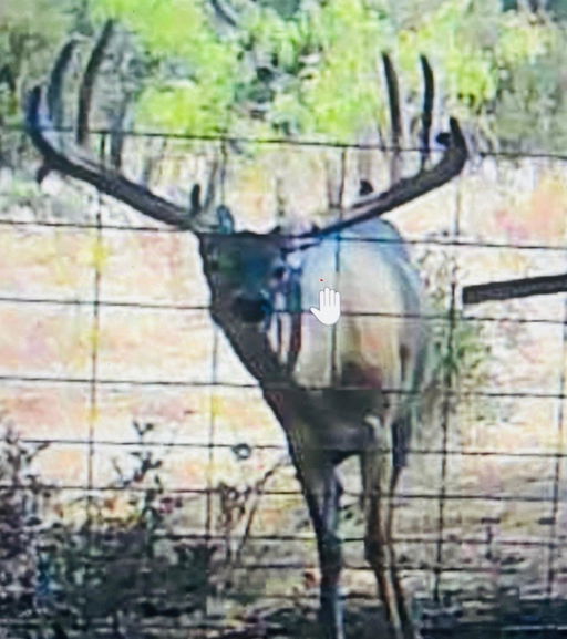 Media Image 3