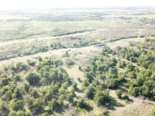 Media Image 2