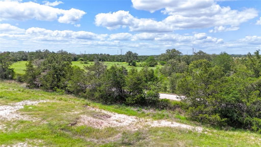 Media Image 3