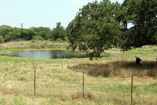 Media Image 3