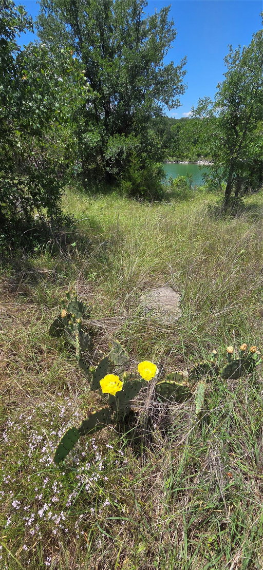 Media Image 3