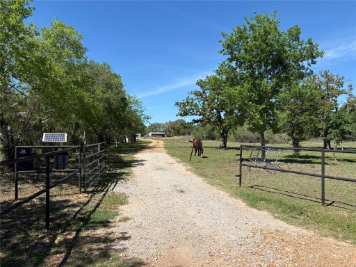 Media Image 2